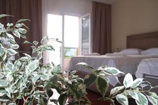 Апартаменты Guesthouse P&A Будва Люкс, вид на сад-21